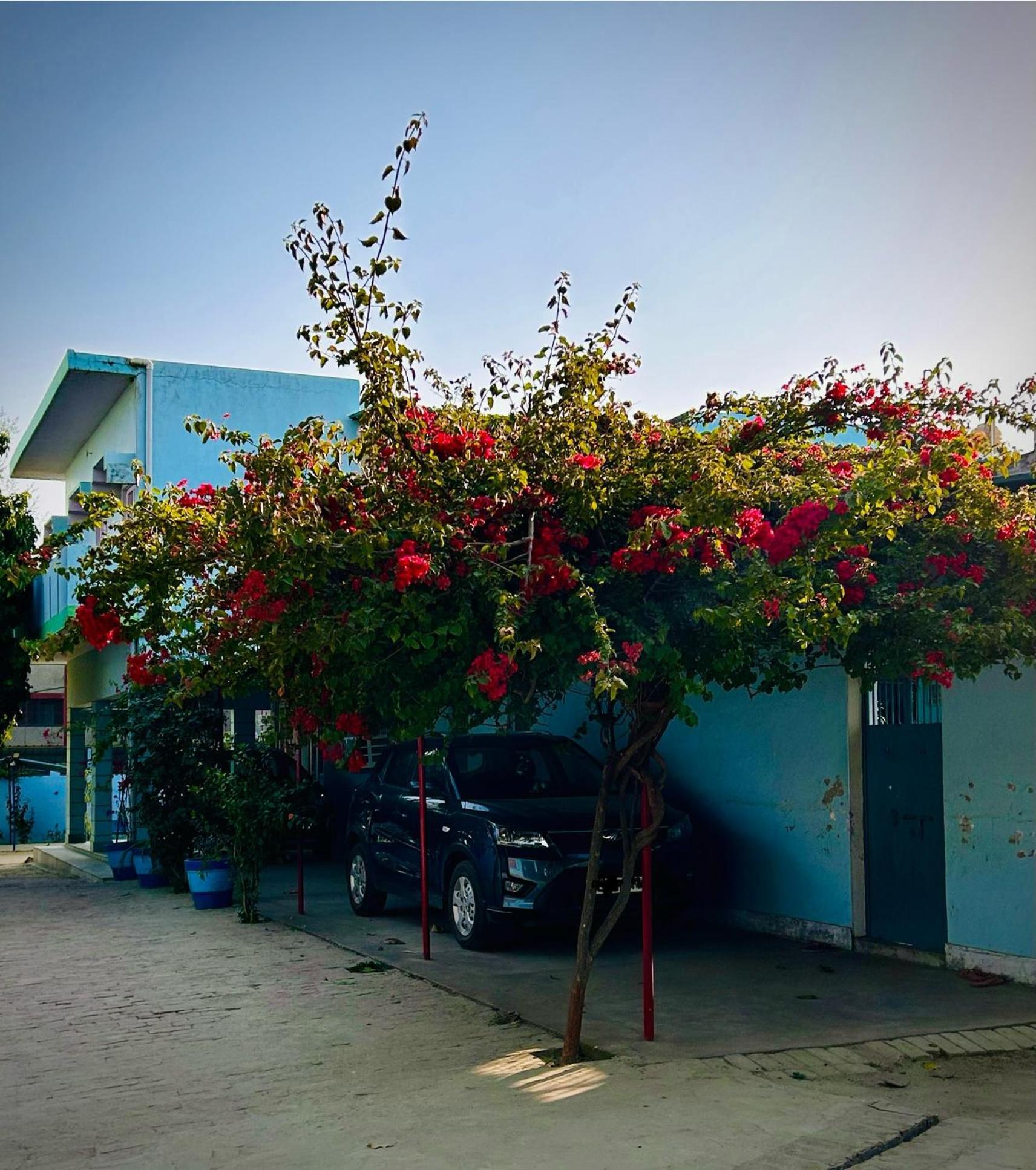 Gooseberry Garden Villa Ayodhya Kültér fotó